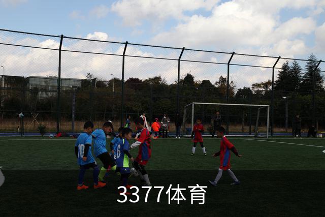 关于3377体育